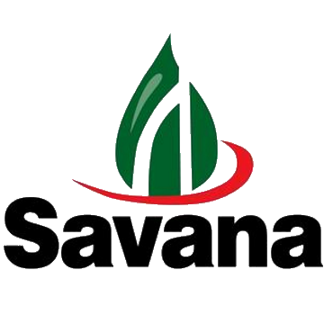 Savana